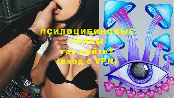 гидропоника Лагань