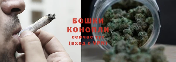 прущие грибы Лихославль