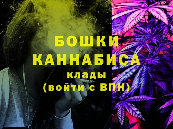 прущие грибы Лихославль