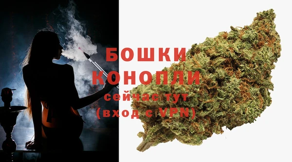 прущие грибы Лихославль
