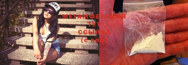 прущие грибы Лихославль