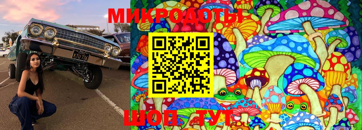 Псилоцибиновые грибы Psilocybe Лангепас